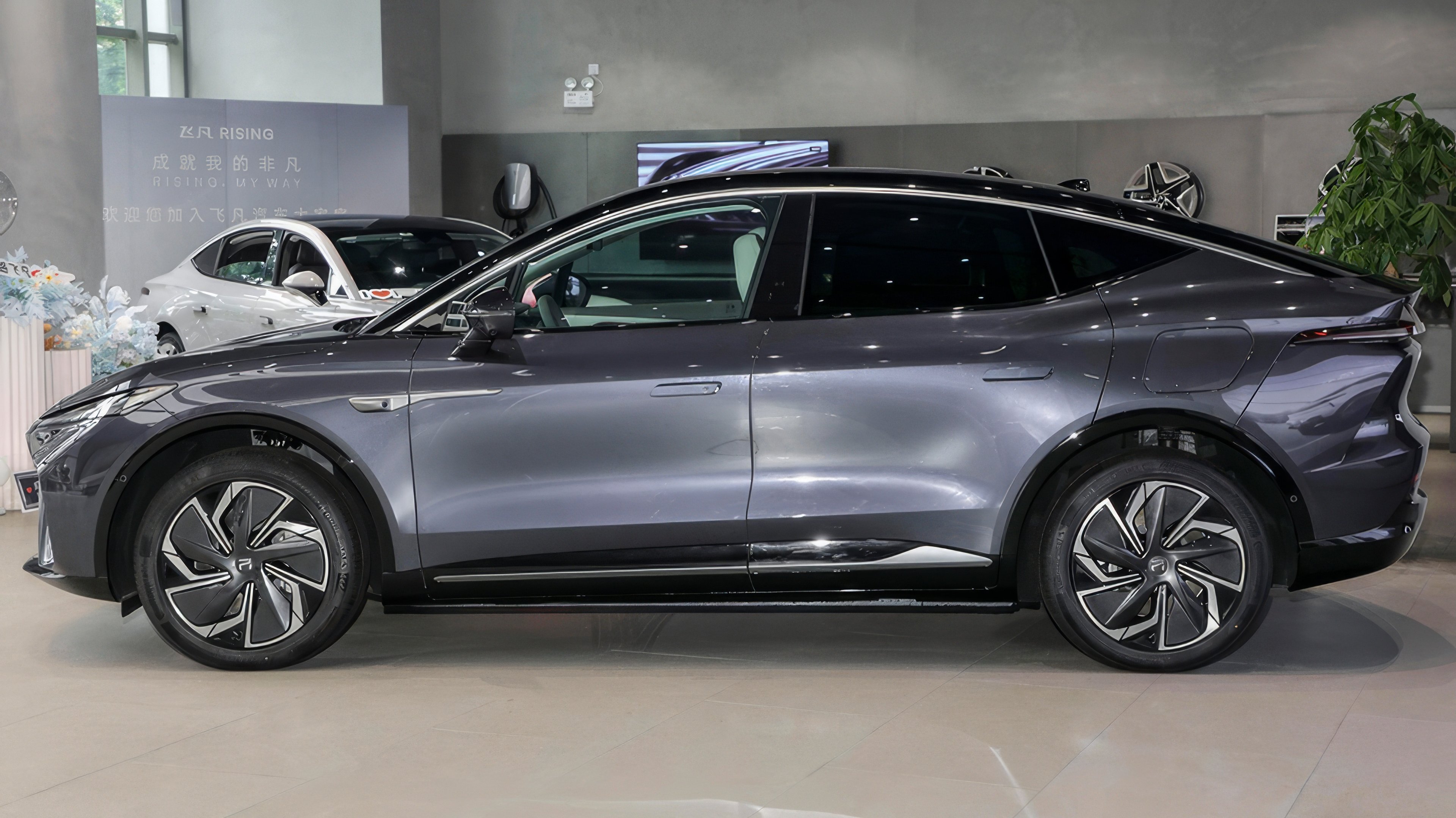 Rising Auto brand EVs